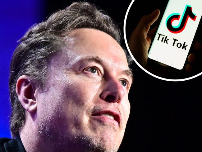 web art for Elon Musk & TikTok