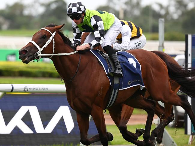 SYDNEY, AUSTRALIA - FEBRUARY 24: James Mcdonald riding Zougotcha wins Race 7 KIA Millie Fox Stakes  during "Silver Slipper Stakes Day" - Sydney Racing at Rosehill Gardens on February 24, 2024 in Sydney, Australia. (Photo by Jeremy Ng/Getty Images)