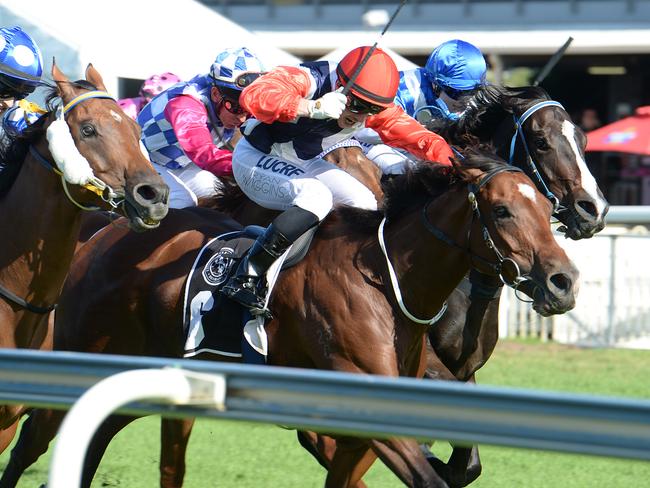 My Little Flicka winning at Doomben. Picture: Grant Peters, Trackside Photography