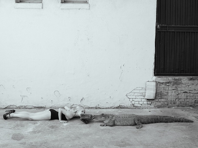 Tyler Shields - Python Birkin, Photography, Story teller, snake