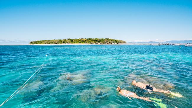 International tourists account for one third of the Far North’s visitor economy and ensure the industry is viable year round, according to Tourism Tropical North Queensland chief executive Mark Olsen.