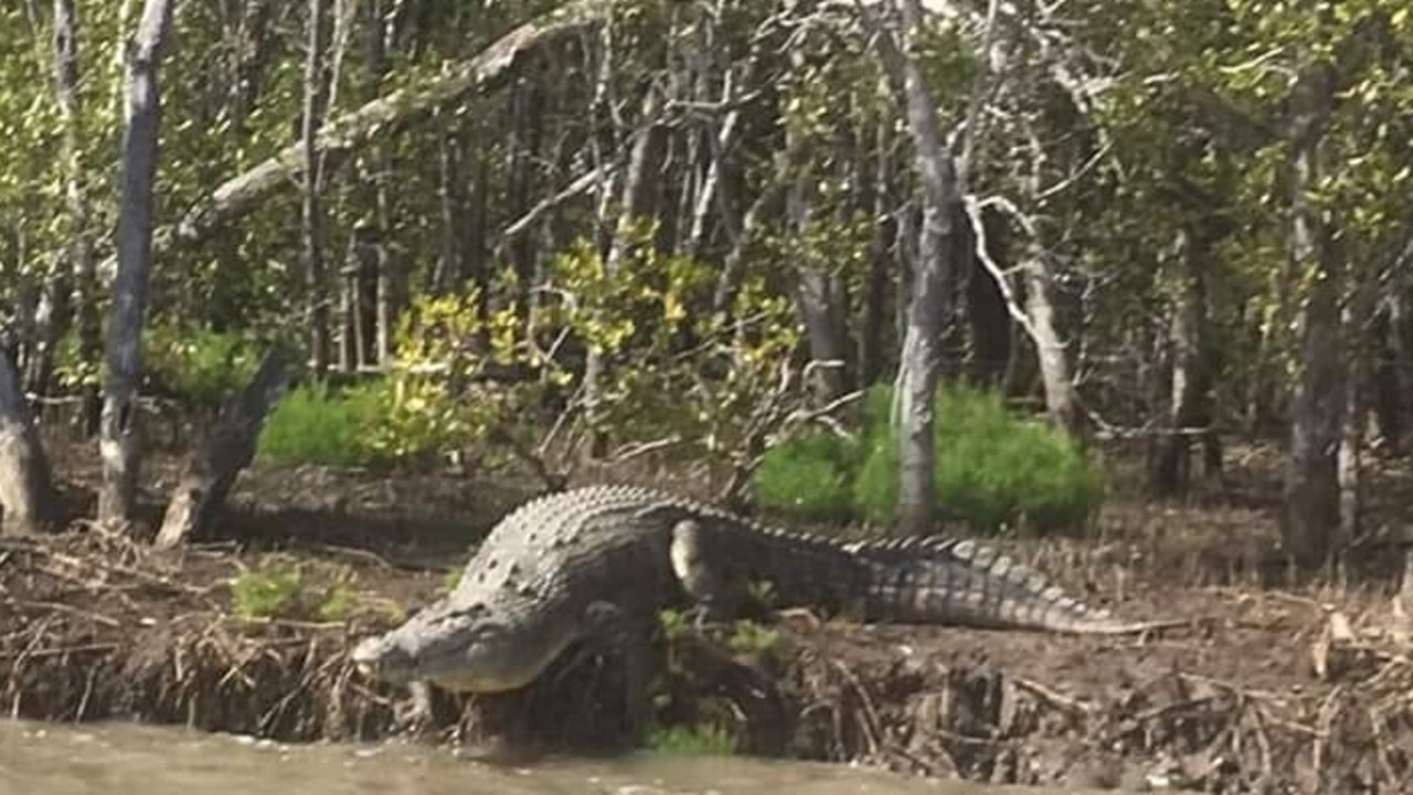 The Fitzroy is known to home to saltwater crocodiles. Picture by Cheryl Chopping