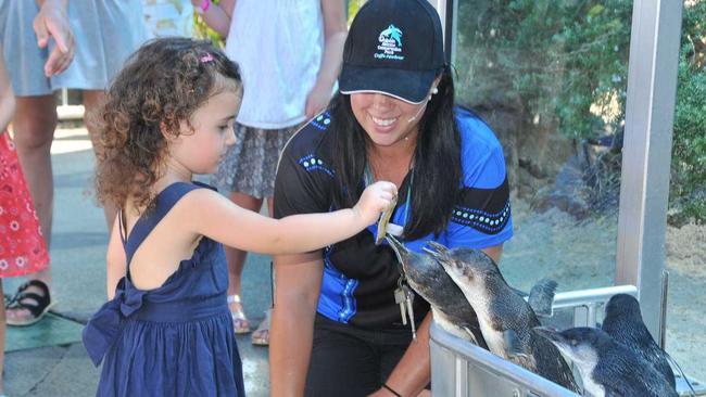 A skeleton team of animal carers and maintenance staff have maintained the animals and facility during the closure. 