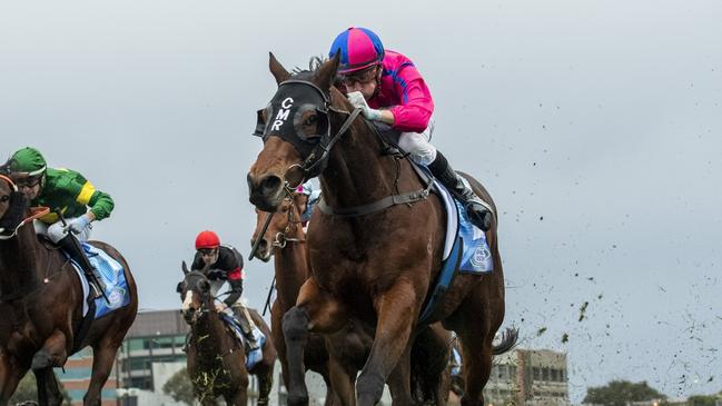 Blake Shinn rated Recommendation perfectly to win the Bletchingly Stakes at Caulfield on Saturday. Picture: Vince Caligiuri/Getty Images