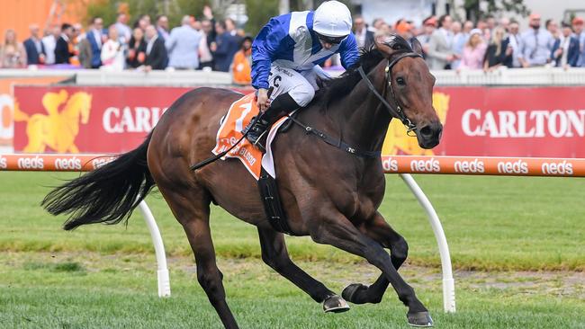 Alligator Blood ridden by Tim Clark wins the Neds Might And Power at Caulfield Racecourse on October 14, 2023 in Caulfield, Australia. (Photo by Reg Ryan/Racing Photos via Getty Images)