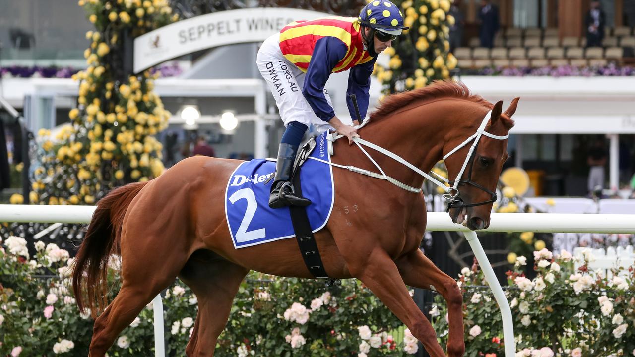 Nature Strip ridden by Hugh Bowman heads to the barrier before the Darley Sprint Classic at Flemington Racecourse on November 07, 2020 in Flemington, Australia. (George Salpigtidis/Racing Photos via Getty Images)