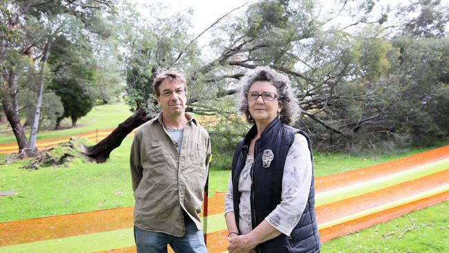 Wildlife rescuer Dave Joyce, left, and Lenah Valley resident Robyn Gates next to the fallen tree.