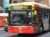 Adelaide bus company hits the wall, hundreds of jobs at risk