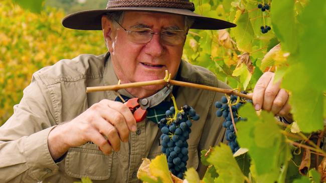 Leconfield Wines owner Dr Richard Hamilton in his McLaren Vale vineyards. Picture: Supplied