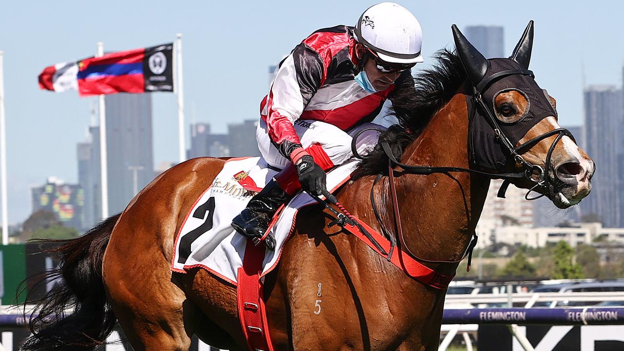 Flemington specialist Halvorsen will chase a second win in the Groyup 3 Standish Handicap when he lines up at Flemington on Saturday. Picture : Michael Klein.