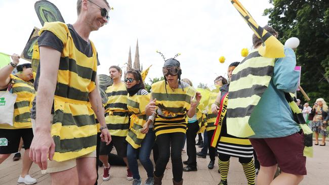 The protesters turn to method acting to indicate all is not well with the state of bees. Picture: Richard Dobson