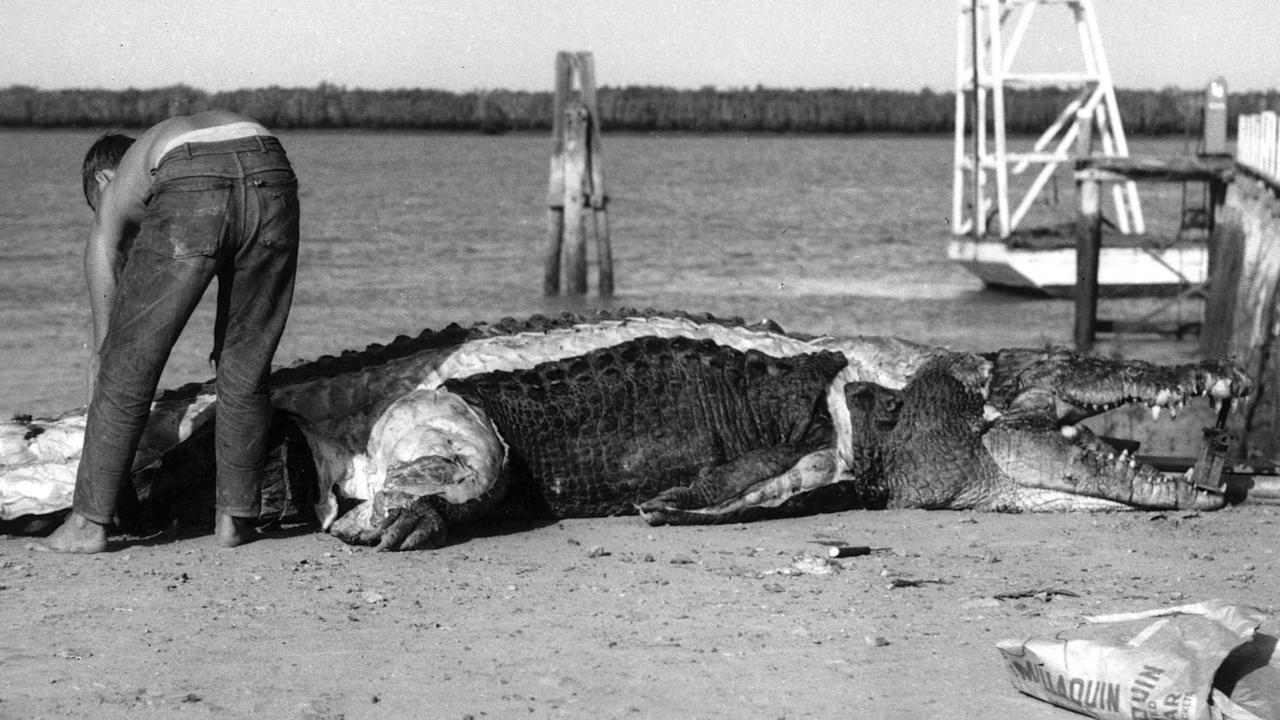 Snap! Crocodile culture … Hugo Schmidt skinning a crocodile at Port Alma 1963 The Morning Bulletin