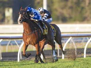 WELL RUN: Jockey Damian Browne steers Crack Me Up to the line. Picture: Michael Mcinally Photography