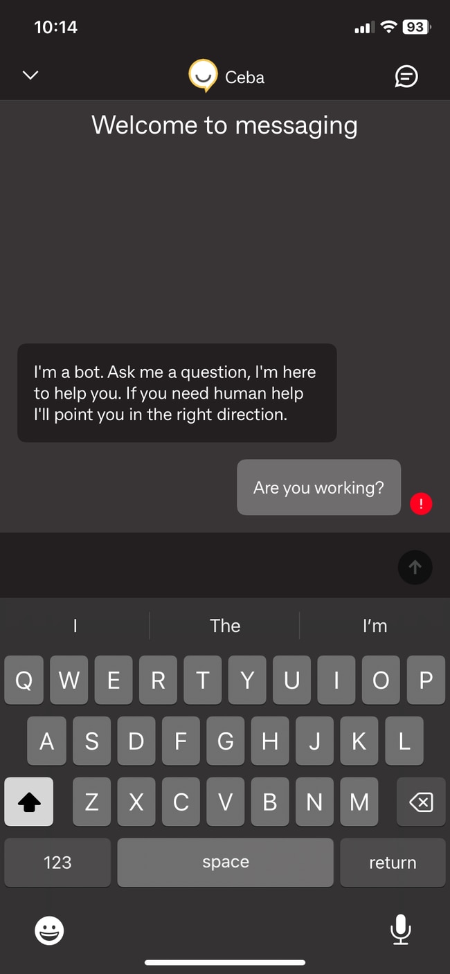 The Ceba chat bot on the CommBank app.