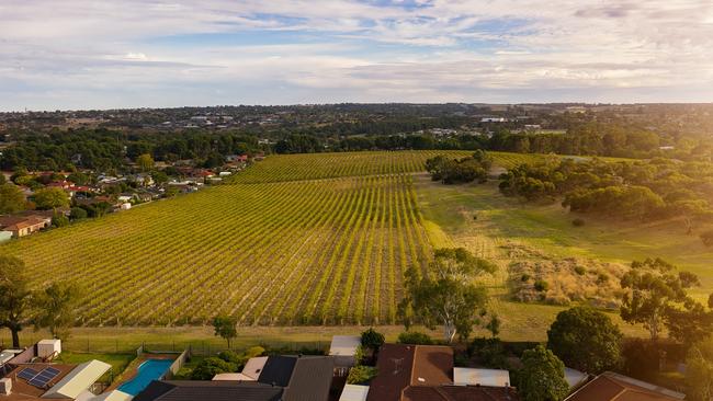 The portion of the former Hardy's winery site in Old Reynella, where Tarac Properties is planning a $100m-plus housing development with 245 homes.