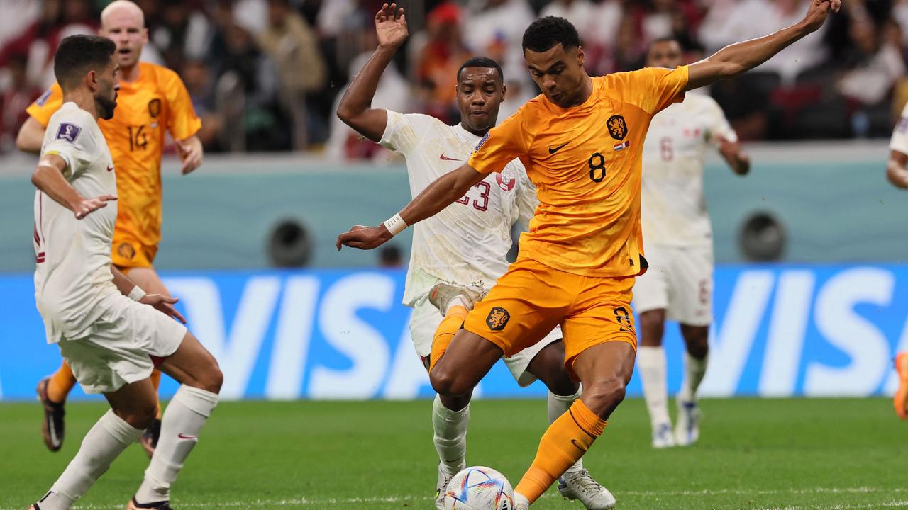 Netherlands' forward #08 Cody Gakpo (R) scores the opening goal during the Qatar 2022 World Cup Group A football match between the Netherlands and Qatar at the Al-Bayt Stadium in Al Khor, north of Doha on November 29, 2022. (Photo by KARIM JAAFAR / AFP)