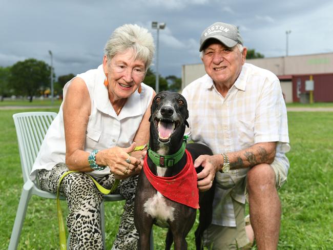 ‘A second chance at life’: Retired greyhounds up for adoption