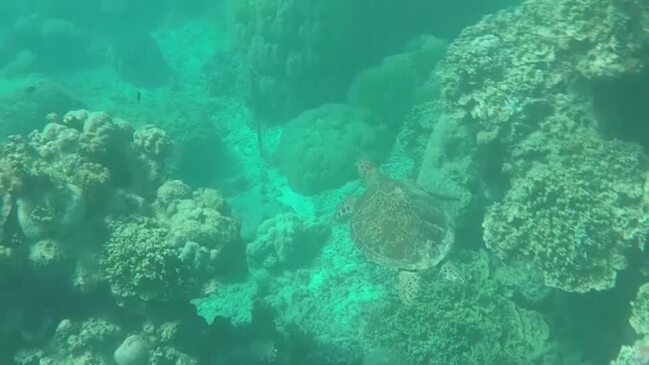 Great Barrier Reef sees warmest water in 400 years, scientists say