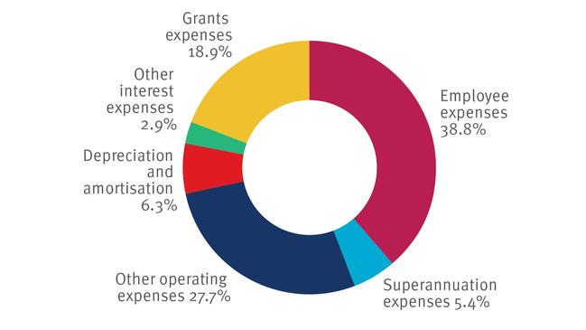 Total expenses for 2024-25. Picture: Supplied