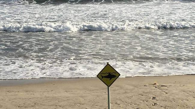 Beaches were closed at Byron Bay for 24 hours.