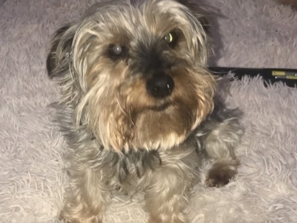 Emma had Yorkshire terrier Mia for 14 years and she claims her manager sent her ‘nasty messages’. Picture: Emma McNulty