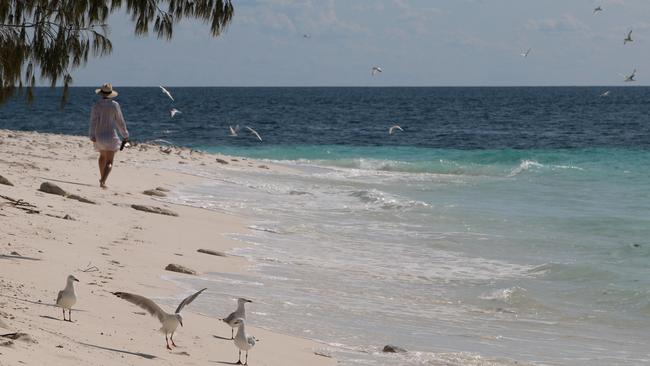 Idyllic Wilson Island, part of the southern Great Barrier Reef, 80km northeast of Gladstone. Picture: Janelle Miles