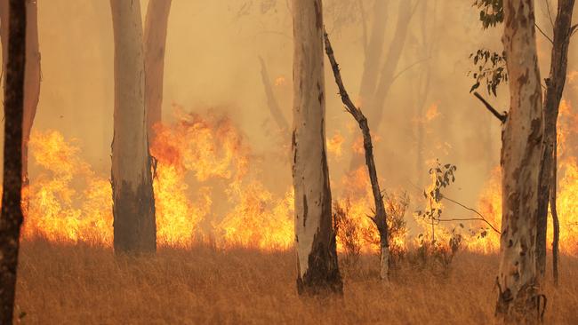 Fire on Halliford Road west of Dalby. Picture: Liam Kidston