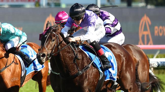 Tiz Invincible will look to snare her first Group 1 in the All Aged Stakes on Saturday. Picture: Jeremy Ng/Getty Images.