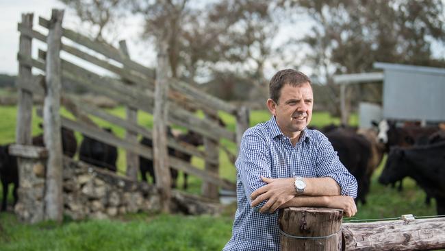 Liberal MP Nick McBride says his office is regularly contacted by South Australians trying to get home. Picture: Tom Huntley