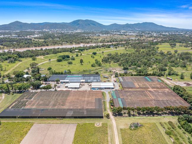 $11m+ price tag as 70yro plant paradise hits market for first time