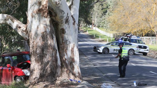 Scene of a crash which killed an 88-year-old man in Biggs Flat. Picture: Emma Brasier