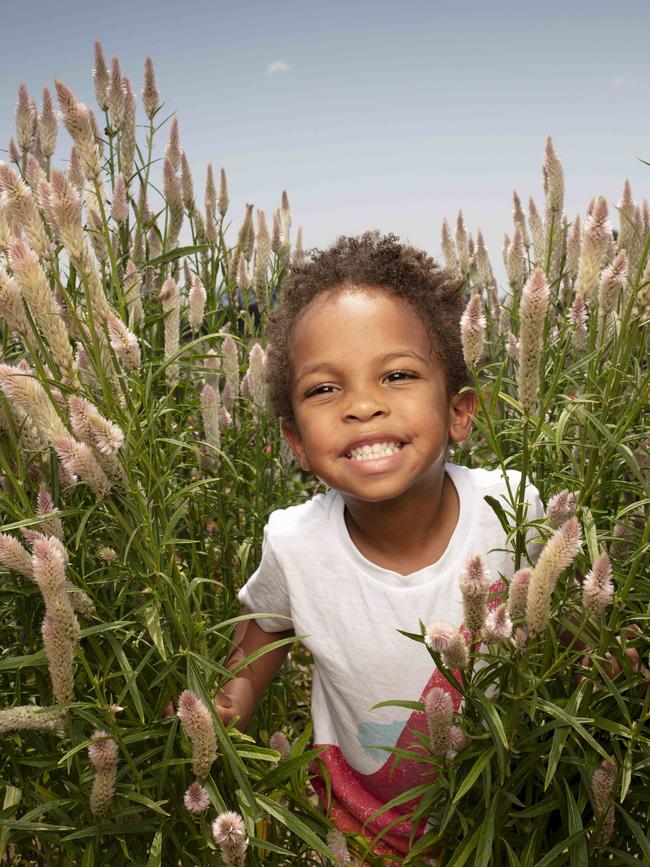 Malachi, 3, in the flower field Photo: AAP/Russell Shakespeare