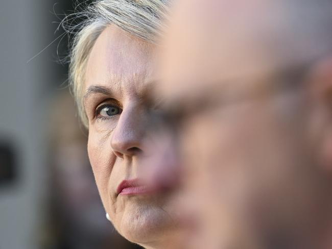 CANBERRA, AUSTRALIA, NewsWire Photos. AUGUST 1, 2023: Minister for Environment and Water Tanya Plibersek holds a press conference at Parliament House in Canberra. Picture: NCA NewsWire / Martin Ollman