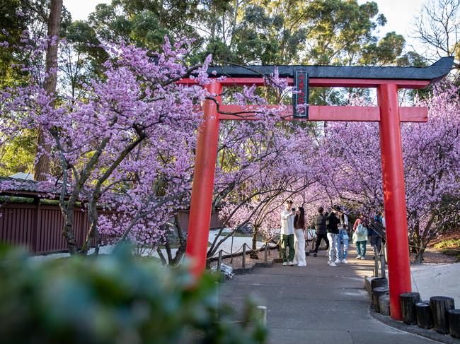 Auburn Botanic Gardens. Picture: Christian Gilles