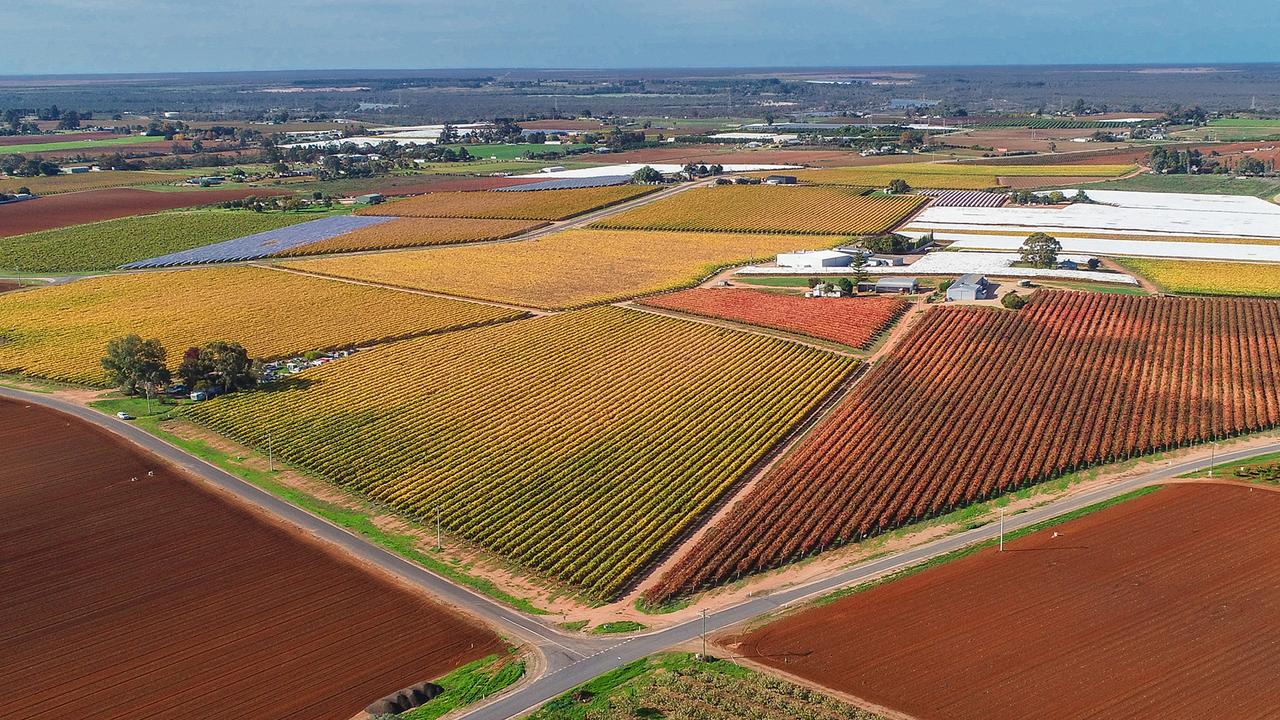 A Chinese buyer has purchased a table grape property at Red Cliffs, in the Sunraysia.