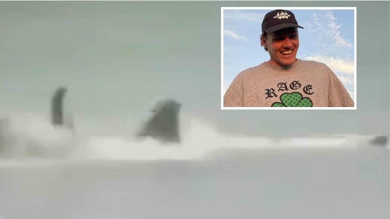 Sick twist in shark attack video