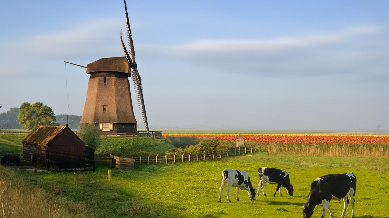 The Netherlands wants to drop the nickname ‘Holland’.