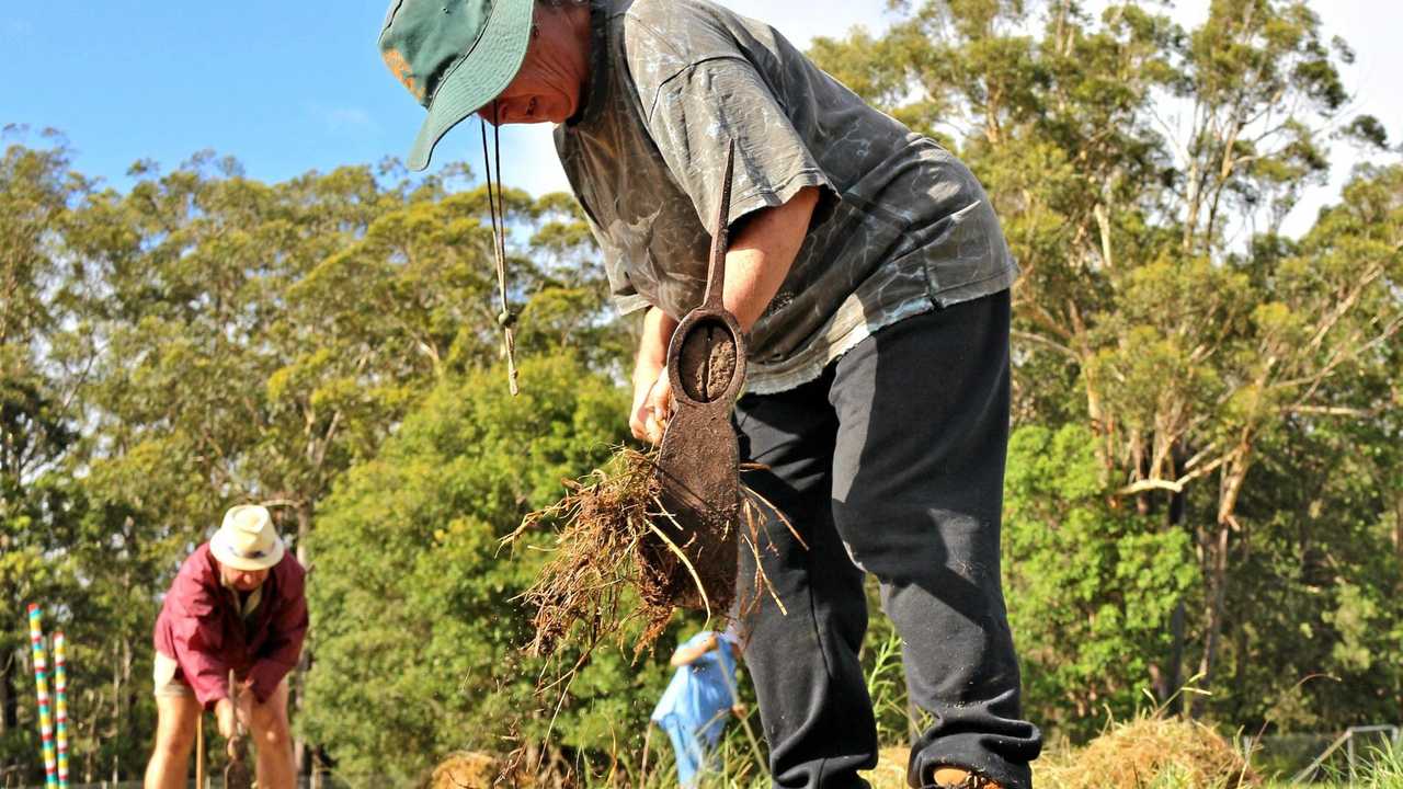 Interest in gardens project growing | Daily Telegraph