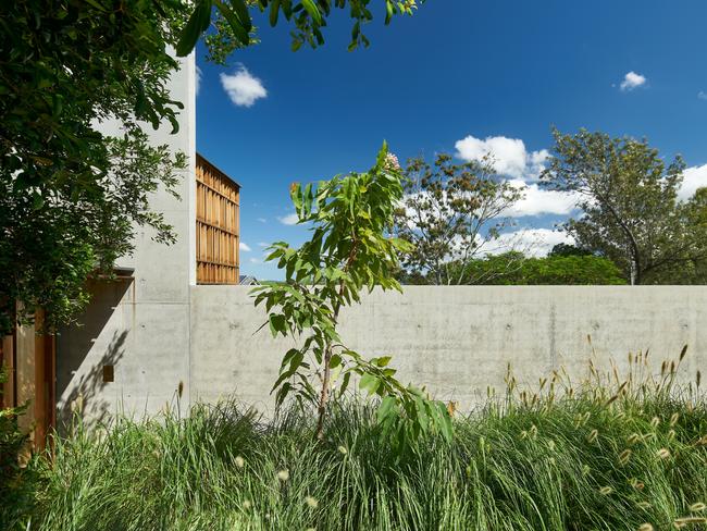 The home is deeply connected to the riparian site. Photographer: Alex Chomicz