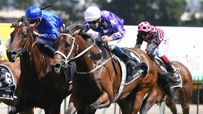 Invincibella is chasing a third win in the Fillies and Mares race. Picture: AAP