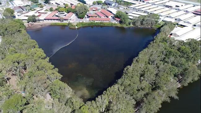 Drone Footage of Black Swan Lake 