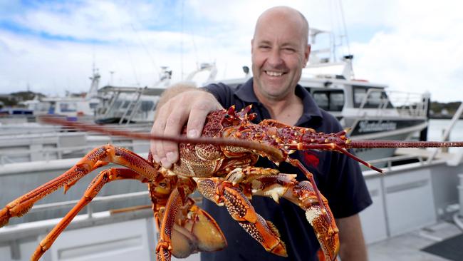 Robe lobster fisherman Paul Regnier on his boat with a southern rock lobster in 2017. Picture: Kelly Barnes/The Australian