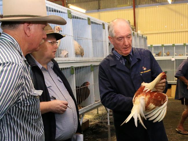 2016 Cairns Show | The Cairns Post