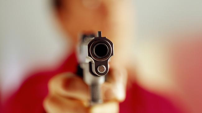 A young girl was allegedly threatened with a gun at the popular skate park.