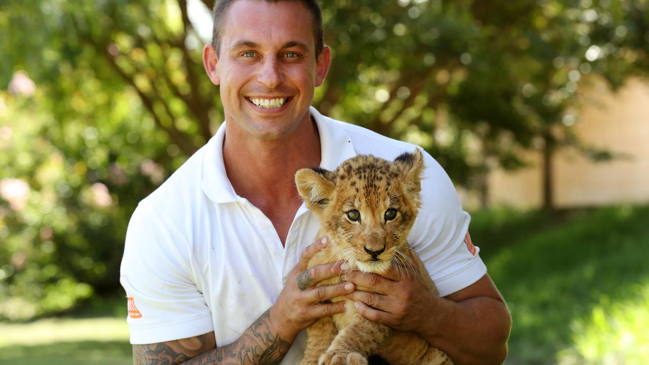 Eight-week-old lion Phoenix with Chad Staples at Mogo Wildlife Park. Picture: Jonathan Ng