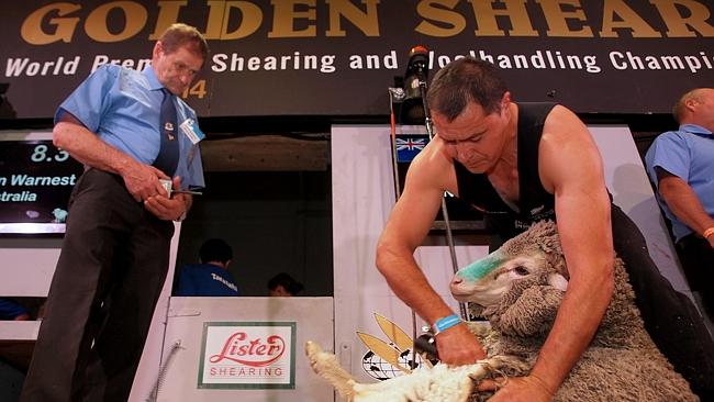 Australian Shearing Team Supreme At Golden Shears At Masterton In New