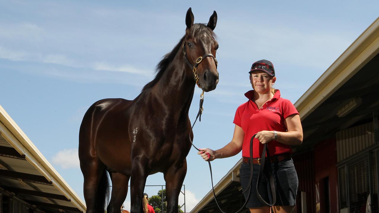 QLD_GCB_NEWS_RACINGPANEL_4JAN15(2)