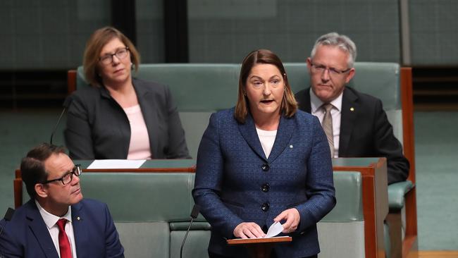 Fiona Phillips delivering her maiden speech in the House of Representatives Chamber, at Parliament House in Canberra. Picture Kym Smith