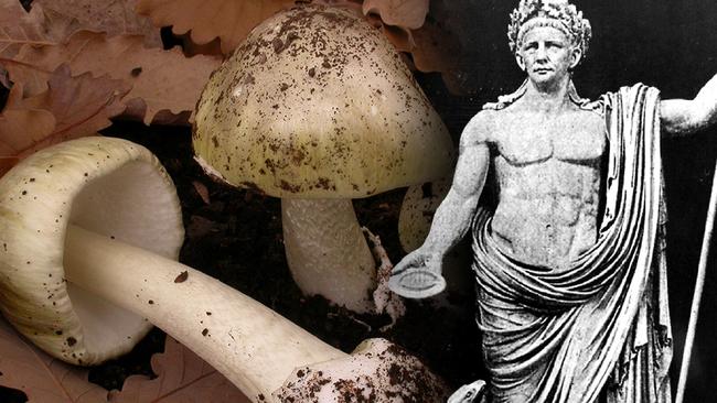 Death cap mushrooms have been responsible for many deaths through history, including possibly that of Roman Emperor Claudius.