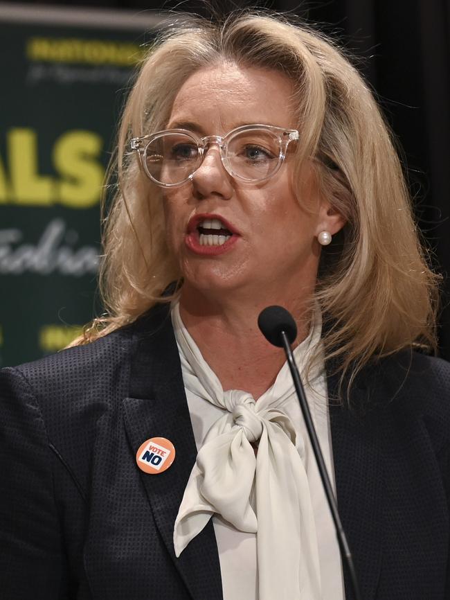 Senator McKenzie put the government on blast. Picture: NCA NewsWire / Martin Ollman